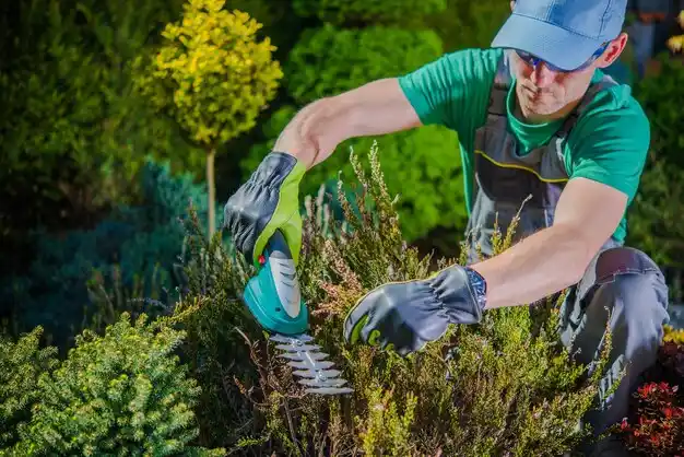 landscaping services Hemingford